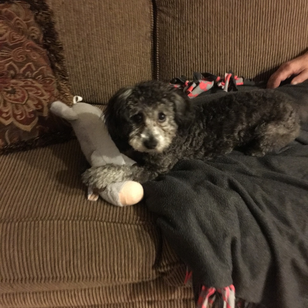 Meet your Posher, Gloria